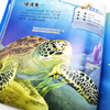 3-6 years old Ocean Illustration 105 kinds of sea animals that fascinate children