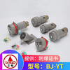 BJ-YT Ladbrokes explosion-proof plug aviation plug socket single three-phase four-five pole 380v non-sparking connector 25A three-phase five-pole-5 core x plug BJ-YT