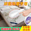 Bizhidao Mattress Mildew Remover Removes Mold Spots, Curtains, Fabrics, Sofa Quilts, Mildew Remover, Household Mildew Remover, Mattress Mildew Remover, Mattress Mildew Remover