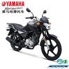 Yamaha Yamaha motorcycle Tianjian 150Z street car straddle bike EFI National IV sports car racing rider car YAMAHA Tianjian 150Z/front disc rear drum/Haoyue Gray