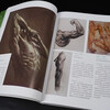 Human Anatomy for 3D Art
