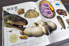DK Children's Illustrated Encyclopedia Dinosaur Age Hardcover Genuine Panorama of the Prehistoric World Popular Science Books for Primary School Students 6-12 Years Old Dinosaur Fossil Exploration Introduction to Paleontology