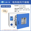 Yiheng Shanghai electric blast drying oven laboratory oven industrial oven high temperature constant temperature test chamber DHG-9013A 250 16 liters stainless steel