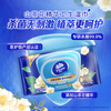 Vinda antiseptic wipes recommended by Sun Yingsha 80 pieces