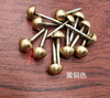 SDFFKOS Antique Brass Cap Nails Round Nails Copper Solid Rivets Round Head Nails Small Bubble Nails Decorative Door Nails Sofa Nails Diameter 0.8 cm Bronze 10 pcs