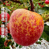 Jingdida Sichuan Daliangshan Ugly Apple, net weight 8 pounds, single fruit 85mm+, fresh fresh fruits shipped directly from the source, free shipping