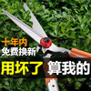 Jingyouyu German Seiko Gardening Scissors Fruit Branch Garden Lawn Pruning Shears Landscaping Tools Hedge Shears Upgraded Series - Standard Straight Blade Telescopic Style