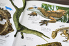 DK Children's Illustrated Encyclopedia Dinosaur Age Hardcover Genuine Panorama of the Prehistoric World Popular Science Books for Primary School Students 6-12 Years Old Dinosaur Fossil Exploration Introduction to Paleontology