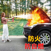 Giant wood car water-based fire extinguisher, private car, car annual inspection, portable bottle, household fire-fighting equipment, high temperature resistance and explosion-proof 620ml water-based + safety hammer