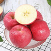 Longyuan Red SF Home Jingning Apple Gansu Red Fuji Apple Fresh Fruit for Pregnant Women Directly from the Source with Free Shipping Strictly Selected by Supermarkets | 10 Jin 76-85mm Net Weight 8.5 Jin Medium Fruit