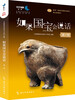 If National Treasure Can Talk Season 1, 2 and 3, all 3 volumes, gift multifunctional national treasure calendar/Sanxingdui notepad, distributed randomly_Douban high-scoring CCTV documentary book of the same name recommended by Shan Jixiang, former director of the Palace Museum
