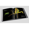 National Geographic Complete Book of Wonderful Insects