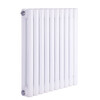 Qilicai radiator household water heating radiator steel two-column central heating steel wall-mounted natural gas vertical radiator 600mm vertical total height 1.8 meters 10 columns wide