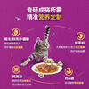 Weijia cat staple food soft package canned imported wet food package cat snack adult cat staple food wonderful fresh package 85g*12 ocean fish flavor