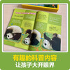 Malt Master Little Koala Reading Pen Matching Book National Geographic Popular Science English Graded Reading English Enlightenment Learning Book Foreign Language Graded Reading Classic IP National Geographic Ladder Graded Reading Part of the Reading Pen Included Level 3 Suitable for Junior High School