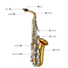Yamaha (YAMAHA) saxophone YAS-26 E flat alto saxophone children adult beginners grade examination professional performance