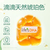 Dr. Natural DHA Algae Oil Gold Label Small Amber T Oil for Infants and Young Children to Assist Improve DHA Algae Oil DHA Nutritional Supplement 60 Capsules * Two Boxes Source Code Source Box - Anti-Counterfeiting Checkable