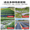 Silver and black two-color mulch film, new material, thickened insect-proof reflective mulch film covering weeding film, thermal insulation agricultural mulch film, silver and black 10 pounds 1.2 silk thick 1 meter wide 300 meters long