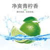 Diao Brand Soap Transparent Soap Laundry Soap Large Pack 202g Lime Fragrance Laundry Soap Cleaning Soap Family Pack Affordable Pack 202g*6 Blocks
