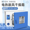 Yiheng Shanghai electric blast drying oven laboratory oven industrial oven high temperature constant temperature test chamber DHG-9013A 250 16 liters stainless steel