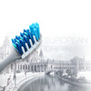 Oral-B precision multi-angle toothbrush tongue brush small wide head massage gum soft bristles adult toothbrush double pack color random