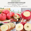 Jingning Apple SF Home Gansu Red Fuji Apple Fruit Fresh Seasonal Jingning Apple 10-12 Pieces 90-100mm Net Weight 8 Jin Strictly Selected Pack