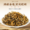 Feng Brand Black Tea Jinya Fengqing Dianhong Special Grade 100g Canned Tea Sweet and Honey Fragrance Chinese Time-honored Brand