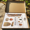 Infinitely Xiaoliang recommends an illustrated book of incredible fruit seeds in the world (free seed crystal pendant)