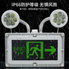 LED explosion-proof double-head emergency light IIC fire evacuation sign and exit stainless steel sign light integrated explosion-proof emergency lighting small