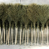 Large broom for sanitation road, large broom for outdoor workshop and yard, broom for sweeping the yard in factory and school, large boutique, new wooden handle, height 2.3, width 0.9, large broom