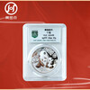 2024 Year of the Dragon Panda Silver Coin Commemorative Coin Encapsulated Graded Version 30g 999 Pure Silver Silver Cat Single Coin