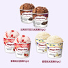 Haagen-Dazs 6-Cup Combination Pack Classic Chocolate/Vanilla/Strawberry 100ml*6 Ice Cream Gift Box Mass Sales Pack
