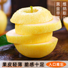 Jingdida Shandong Golden Venus Apple, net weight 8.5 catties, single fruit 190g, fresh crisp apples shipped directly from the source with free shipping