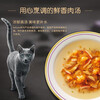 Xibao original imported meat soup soft package seafood feast for adult cats 40g*12 whole box