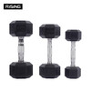 RISING Commercial Hexagonal Dumbbell Hexagonal Dumbbell Men's Household Fixed Dumbbell Rubber Set 17.5kg Single