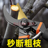 Dongjiu SK5 steel gardening shears, fruit tree pruning shears, garden thick branches, scissors for cutting branches, floral pruning shears, fruit picking shears, pruning shears, handles with sheaths