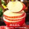 Luochuan Apple, Shaanxi Yan'an Luochuan Red Fuji Apple, 25-year new fruit, seasonal apple fruit gift box, direct delivery from the origin, selected extra large fruits, net weight 8.5 catties (single fruit 250+), about 15-18 pieces