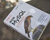High Performance MySQL (4th Edition)