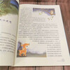 World classics that touch children's hearts Bambi summer homework Homework for summer transition from primary school to junior high school Summer vacation transition from junior high school to junior high school