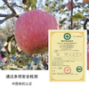 Organic Venus Red Fuji seasonal fruit fresh farm straight hair unwaxed Spring Festival gifts organic Venus apple 60-70mm (about 3 pounds of baby fruit)
