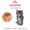 Royal Cat Food Kitten Wet Food Soft Pack Cat Canned KLP General Food April-December Mousse Meat 85G*12 Imported
