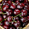 Spot imported Chilean cherries, fresh cherries in season, high-end extra large Chilean cherries whole box pregnant woman gift box 2500g (net weight) extra large fruit JJ 28-30mm