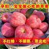 Jixian apples, bursting with sweetness, 2025 authentic Jixian apples, crispy, sweet and juicy Hukou apples, fresh fruit whole box shipped directly from the origin, 8.5 catties, 85mm large fruit, about 18 pieces, Jixian Hukou apples in season