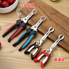 Qian Dong hawthorn corer artifact household pliers to remove seeds and corer homemade candied haws making material tools corer knife seller upgraded model-blue