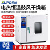 Super electric heating constant temperature blast drying oven laboratory drying oven high temperature welding rod oven industrial oven blast internal 25*25*25 liner galvanized no blast