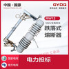 Guoyuan RW12-15/200A high voltage drop fuse 10KV outdoor switch fuse RW12
