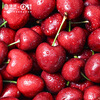 JOYVIO imported cherries from Chile 2J grade 2.5kg gift box, fruit diameter about 28-30mm, shipped directly from the source, free shipping