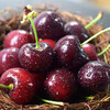 Chizhen Cherry Chile imported black pearl large cherry fresh seasonal fruit Christmas and Spring Festival gift box 1000g (net weight) gift box 3J