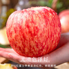 Luochuan Apple, Shaanxi Yan'an Luochuan Red Fuji Apple, 25-year new fruit, seasonal apple fruit gift box, direct delivery from the origin, selected extra large fruits, net weight 8.5 catties (single fruit 250+), about 15-18 pieces