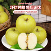 Sweet Alliance Shaanxi Baishui Ruixue Apples, next-day delivery in multiple areas, fresh and crisp pure sweet green apples gift box with rose fragrance, 5 pounds of high-quality fruit 70mm-75mm, net weight 4.5 pounds, trial version, Juhuasuan